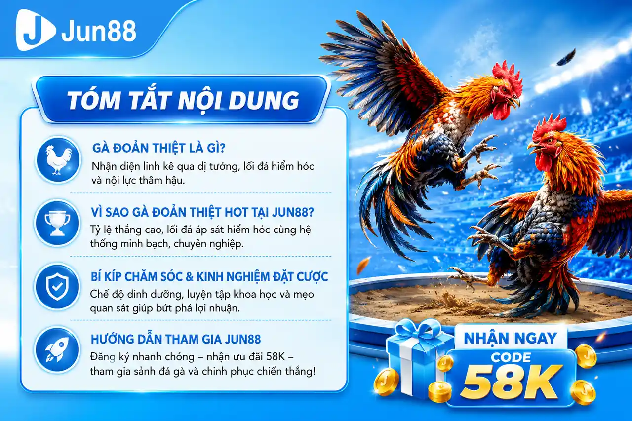 Gà đoản thiệt sở hữu lối đá áp sát đầy uy lực và tốc độ